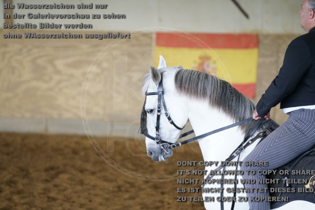 s_K3F04114.JPG